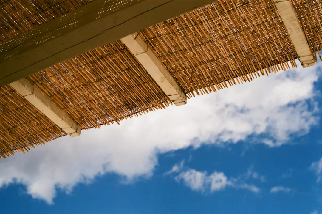 Grand arbre caduc projetant une ombre dense sur une terrasse en pierre dans un jardin français en été