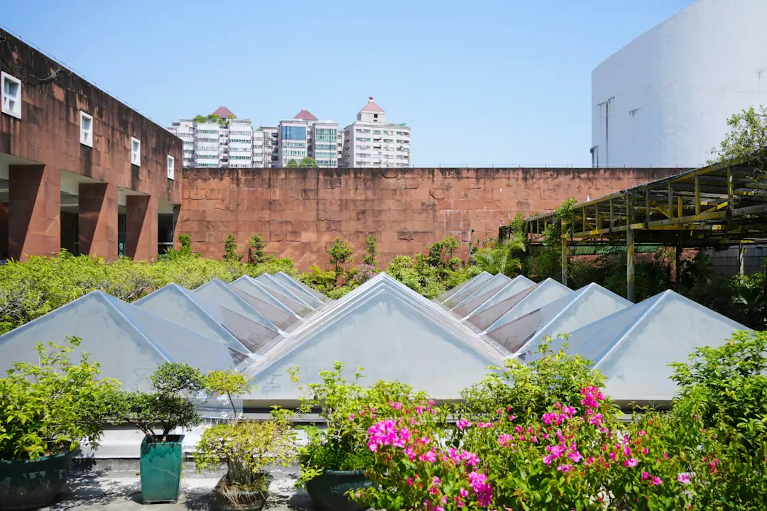 Jardin potager en bacs sur un toit-terrasse urbain, avec aromatiques, tomates et réserve d’eau fermée