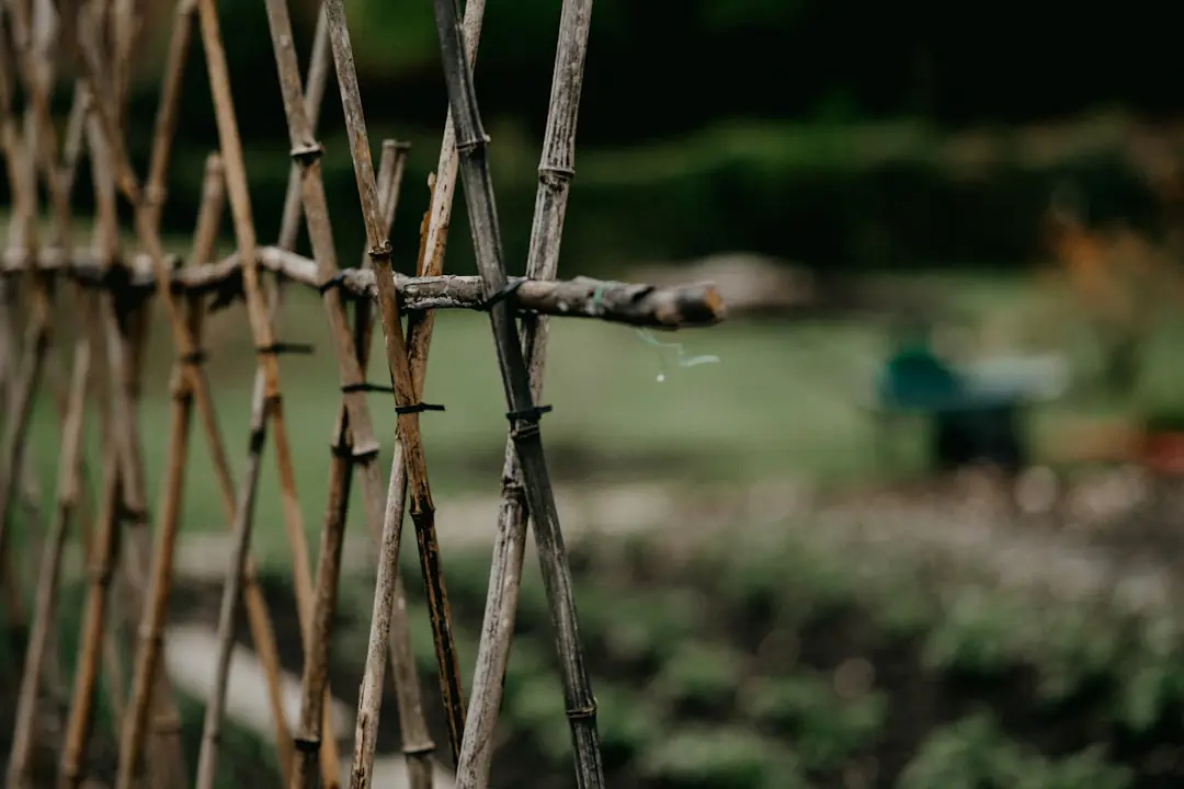 Jardinier observant la terre d’un massif et préparant des plantations adaptées dans un jardin français