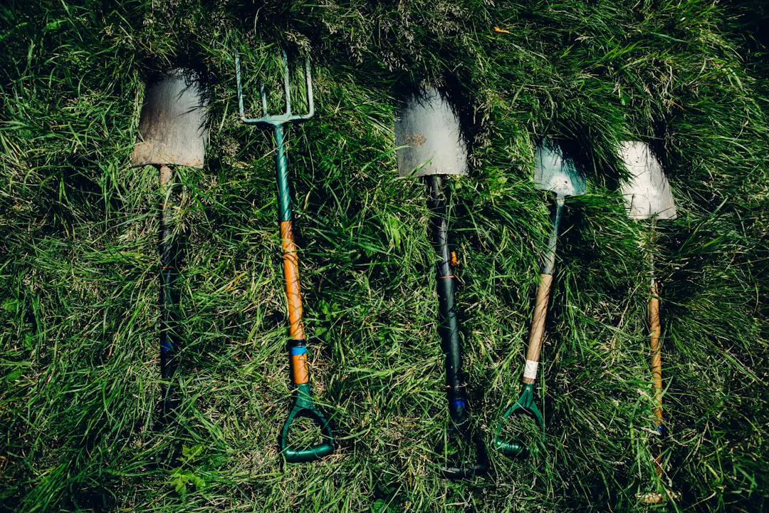 Jardinier utilisant une binette dans un potager paillé, avec des outils manuels rangés sous un abri