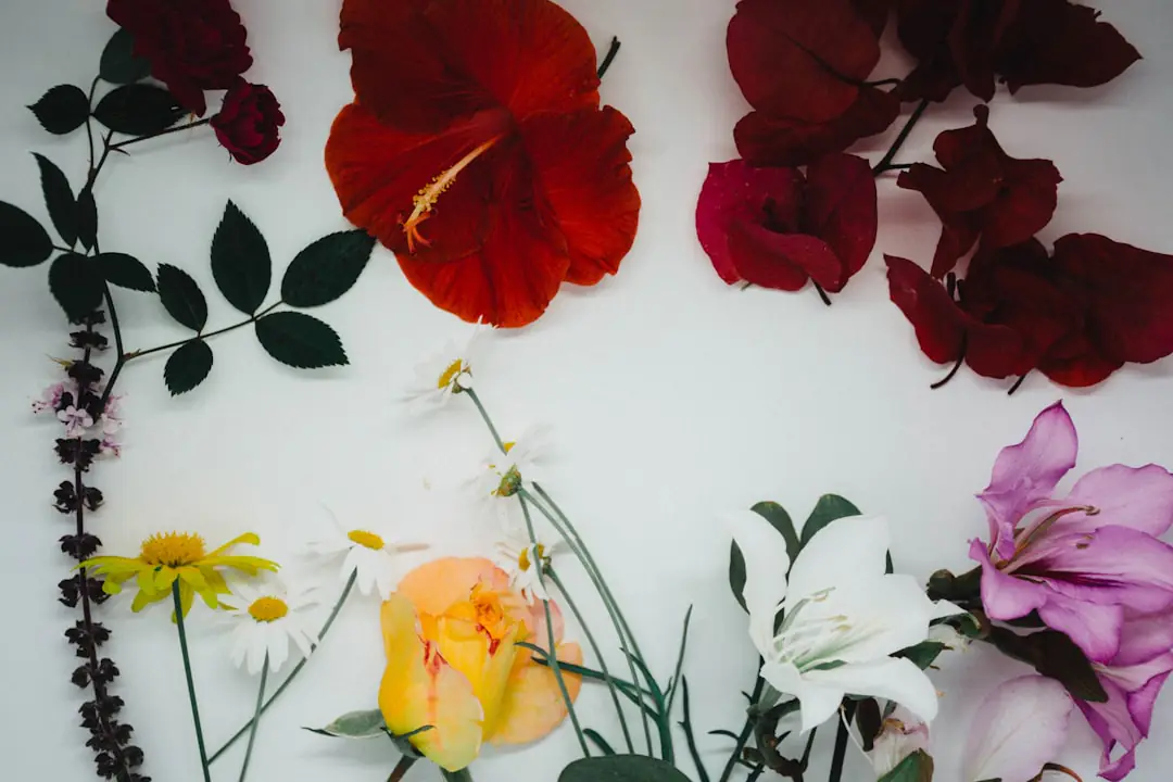 Allée stable bordée de lavandes, roses et bacs surélevés dans un jardin français parfumé et accessible
