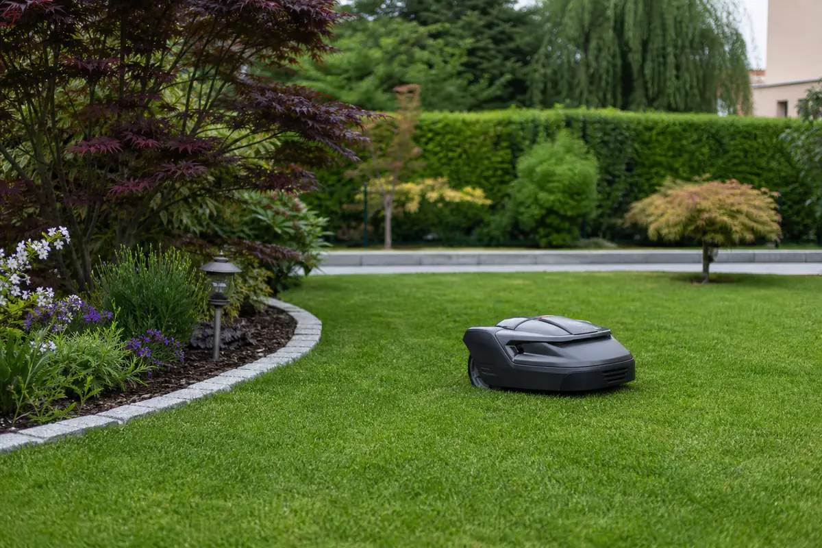 Robot tondeuse compact en fonctionnement sur une pelouse familiale bordée de massifs fleuris et de haies