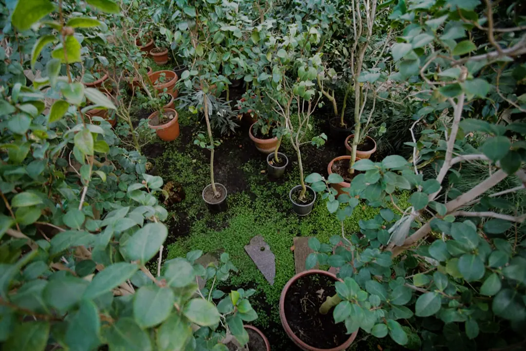 Bénévoles récoltant courgettes et haricots dans un potager solidaire destiné à l’aide alimentaire locale