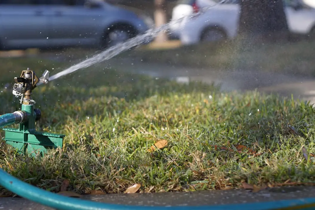 Jardinier enfonçant un tournevis dans une pelouse pour vérifier l’humidité du sol avant arrosage