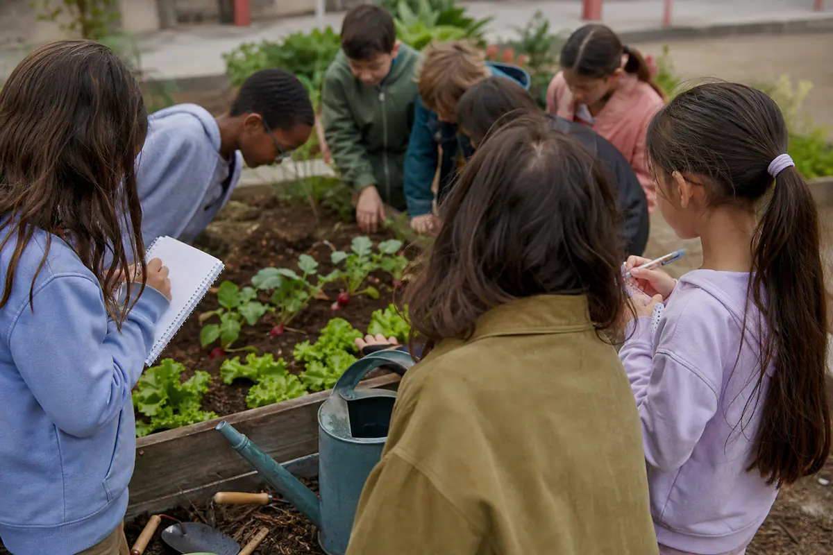 Élèves autour de bacs potagers, observant des jeunes pousses et écrivant un texte de slam dans une cour d’école