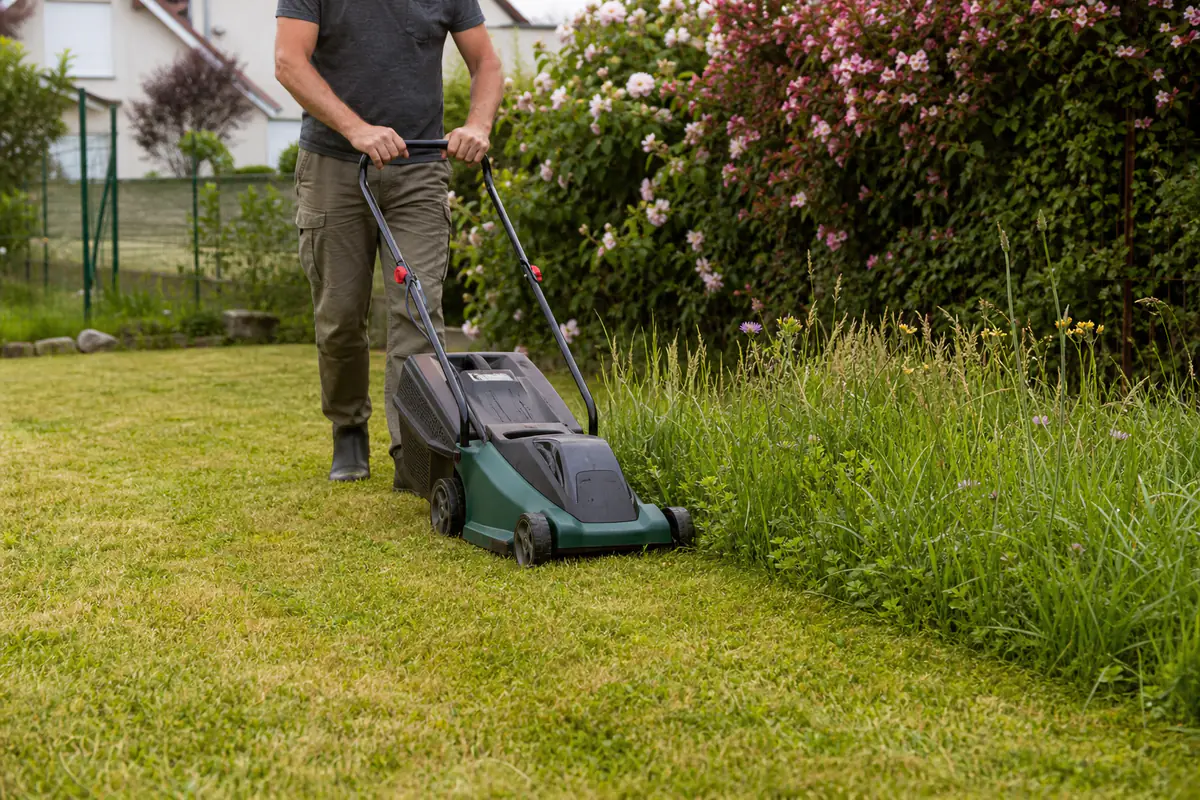 Jardinier tondant une pelouse sèche avec une tondeuse électrique près de haies et de maisons voisines