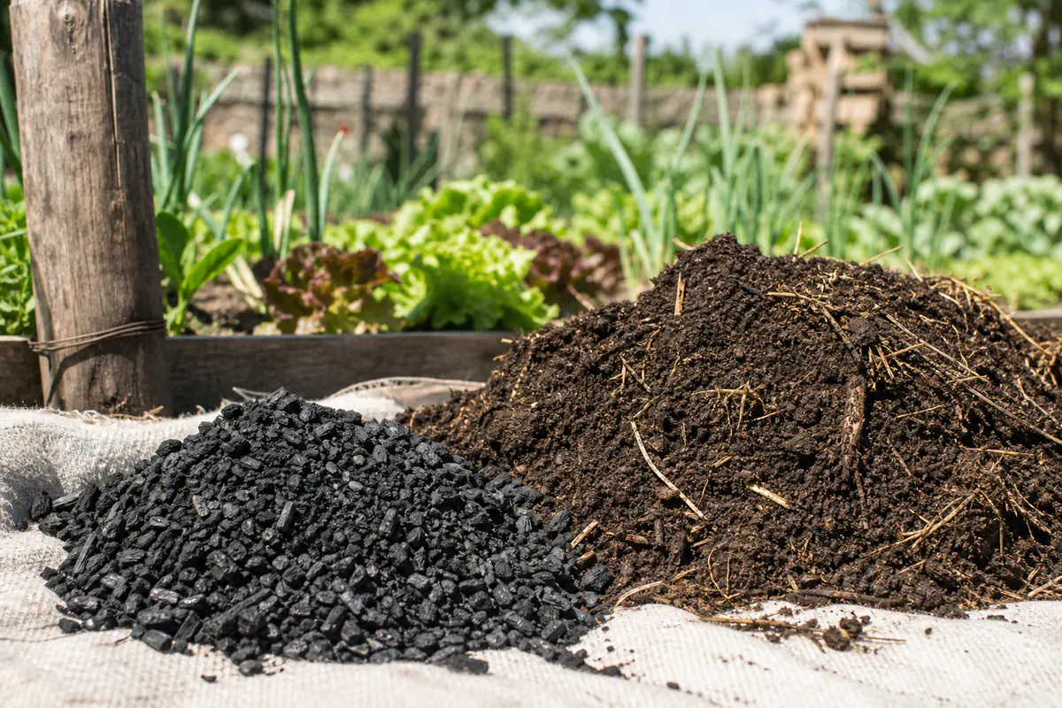 Sac de biochar noir granuleux à côté d'un tas de compost dans un potager français