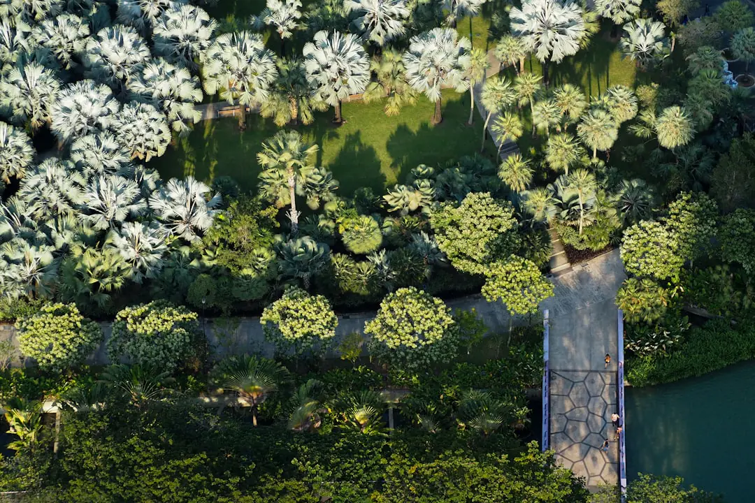 Jardin français contemporain mêlant vivaces locales, potager, bassin infiltrant et terrasse en matériaux réemployés